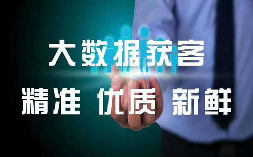 大數據 定義、價值與代理代辦服務探討